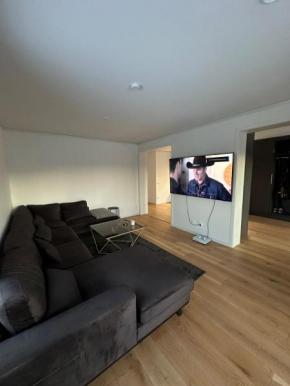 Luxury Apartment